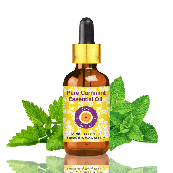 Deve Herbes Cornmint Essential Oil (Mentha Arvensis) - 0.50 Fl Oz (15ml) - 100% Natural Cornmint Oil - for Cooling Relief, Massage & Aromatherapy - with Dropper