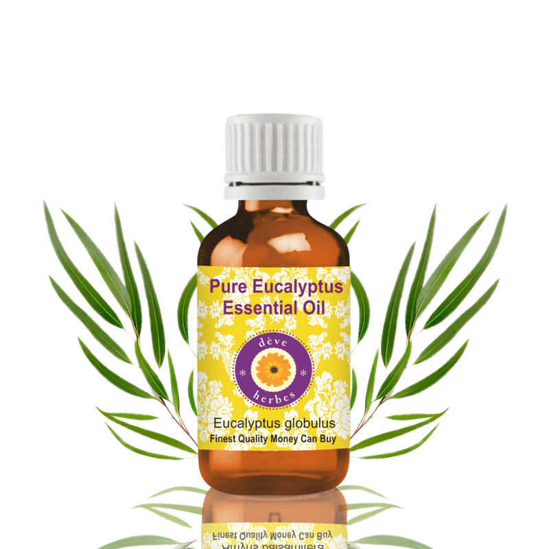 Deve Herbes Eucalyptus Essential Oil (Eucalyptus Globulus) - 3.38 Fl Oz (100ml) - 100% Natural Eucalyptus Oil - for Steam Inhalation, Congestion Relief & Aromatherapy - without Dropper