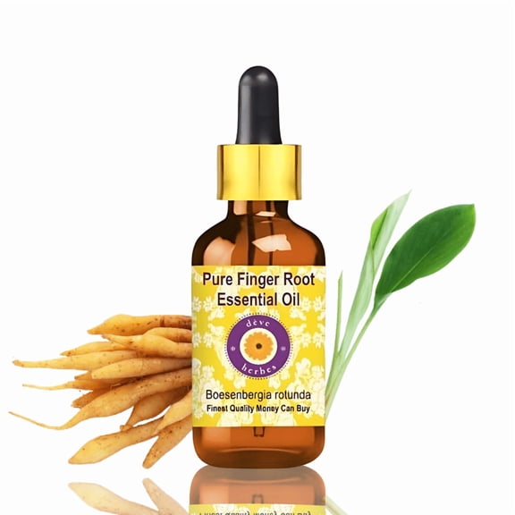 Deve Herbes Finger Root Essential Oil (Boesenbergia Rotunda) - 0.16 Fl Oz (5ml) - 100% Natural Finger Root Oil for Massage, Blends & Aromatherapy- with Dropper