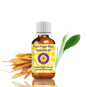 Deve Herbes Finger Root Essential Oil Boesenbergia Rotunda - 0.16 Fl Oz 5ml - 100% Natural Finger Root Oil for Massage, Blends & Aromatherapy- without Dropper