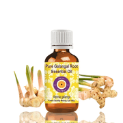 Deve Herbes Galangal Root Essential Oil Alpinia Galanga - 0.16 Fl Oz 5ml - 100% Natural Galangal Oil - for Massage, Warming Blends & Aromatherapy - without Dropper