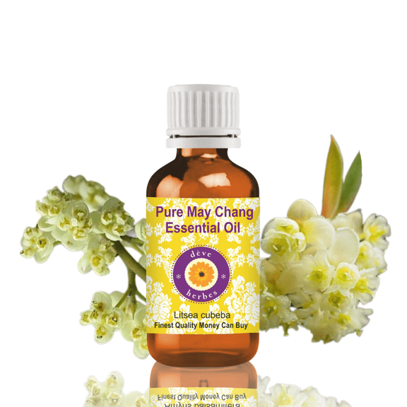 Deve Herbes May Chang Essential Oil (Litsea Cubeba) - 0.16 Fl Oz (5ml) - 100% Natural May Chang Oil - for Diffuser, Fresh Aroma & Mood Uplift - without Dropper