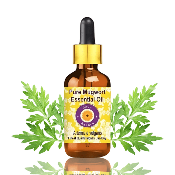 Deve Herbes Mugwort Essential Oil (Artemisia Vulgaris) - 0.50 Fl Oz (15ml) - 100% Natural Mugwort Oil - for Aromatherapy, Relaxation & Herbal Blends - with Dropper