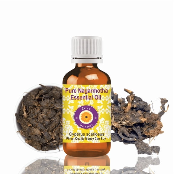 Deve Herbes Nagarmotha Essential Oil (Cyperus Scariosus) - 0.16 Fl Oz (5ml) - 100% Natural Nagarmotha Oil - for Perfumery, Grounding & Aromatherapy - without Dropper