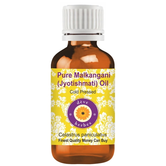 Deve Herbes Pure Malkangani (Malkangni / Jyotishmati) Oil (Celastrus paniculatus) Natural Therapeutic Grade Cold Pressed 15ml (0.50 oz)