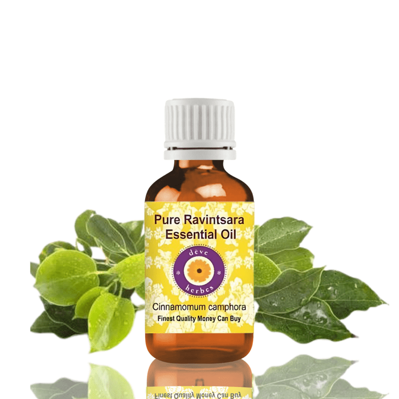 Deve Herbes Ravintsara Essential Oil (Cinnamomum Camphora) - 3.38 Fl Oz (100ml) - 100% Natural Ravintsara Oil - for Immunity Support, Diffuser & Aromatherapy - without Dropper