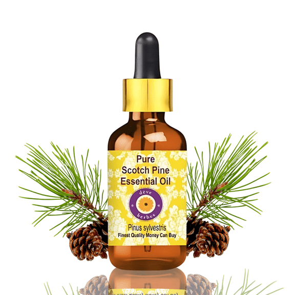 Deve Herbes Scotch Pine Essential Oil (Pinus Sylvestris) - 0.16 Fl Oz (5ml) - 100% Natural Scotch Pine Oil for Diffuser, Fresh Aroma & Aromatherapy - with Dropper
