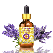 Deve Herbes Spike Lavender Essential Oil Lavandula Latifolia - 3.38 Fl Oz 100ml - 100% Natural Spike Lavender Oil - for Respiratory Support, Massage & Aromatherapy - with Dropper