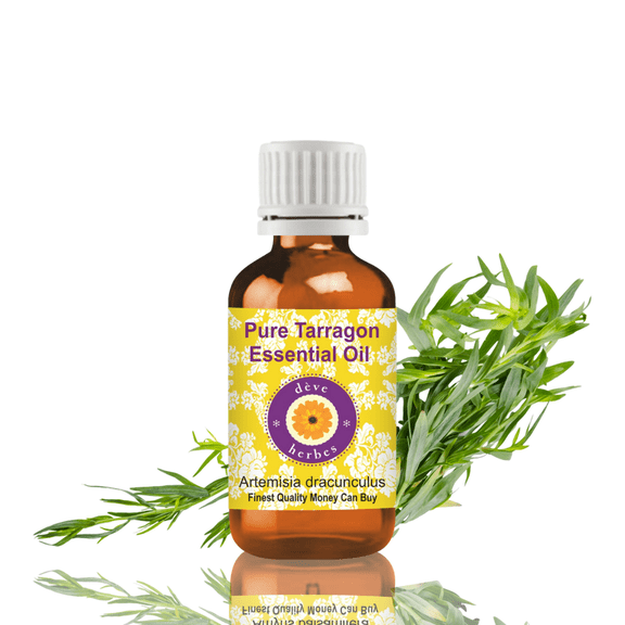 Deve Herbes Tarragon Essential Oil (Artemisia Dracunculus) - 0.16 Fl Oz (5ml) - 100% Natural Tarragon Oil - for Aromatherapy, Massage & Herbal Blends - without Dropper