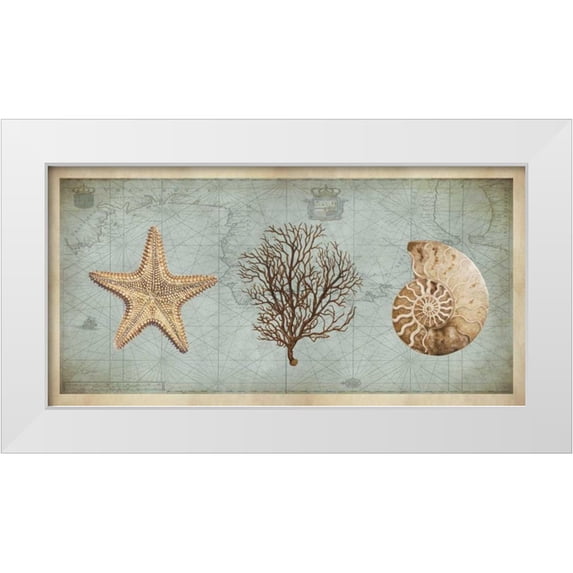 Devellier, Deborah 14x9 White Modern Wood Framed Museum Art Print Titled - Sea Treasures II