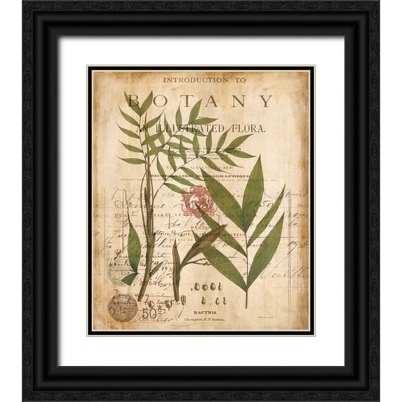 Devellier, Deborah 15x17 Black Ornate Wood Framed with Double Matting Museum Art Print Titled - Palm Study II