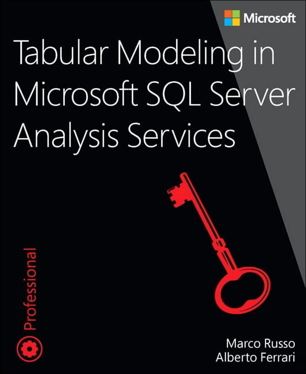 Developer Reference Tabular Modeling in Microsoft SQL Server Analysis ...
