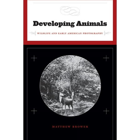 Developing Animals: Wildlife and Early American Photography, (Paperback)