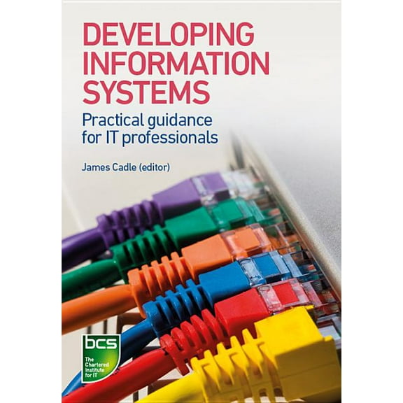 Developing Information Systems: Practical guidance for IT professionals, (Paperback)
