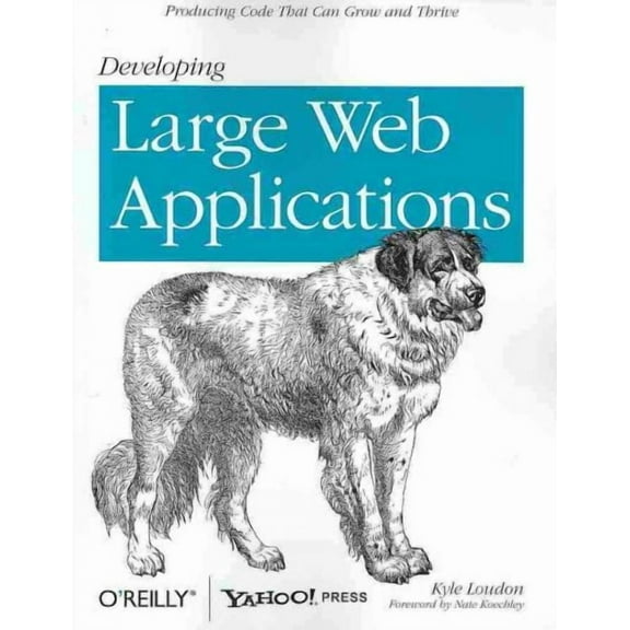 Developing Large Web Applications (Paperback)
