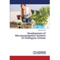 thumbnail image 1 of Development of Micropropagation Systems of Coelogyne cristata (Paperback), 1 of 1