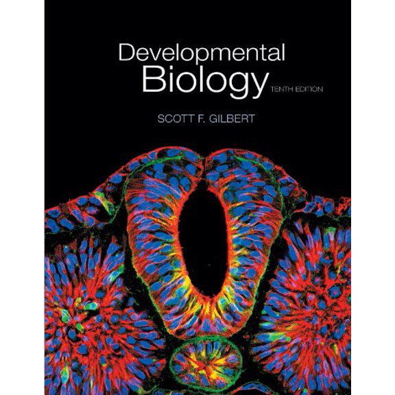 Pre-Owned Developmental Biology (Paperback) 9780878939787