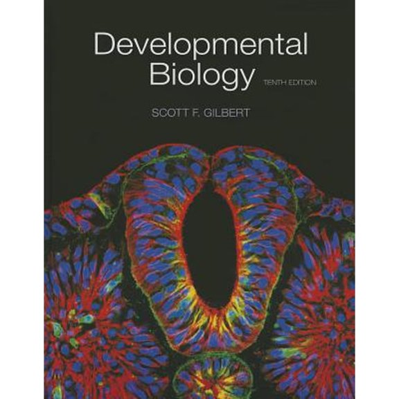 Pre-Owned Developmental Biology (Paperback) 9780878939787