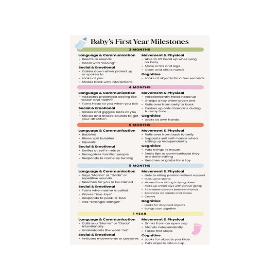 Developmental Milestones Poster Comprehensive Pediatric Chart for Babies First Year Gross Motor Fine Motor Speech Social Skills