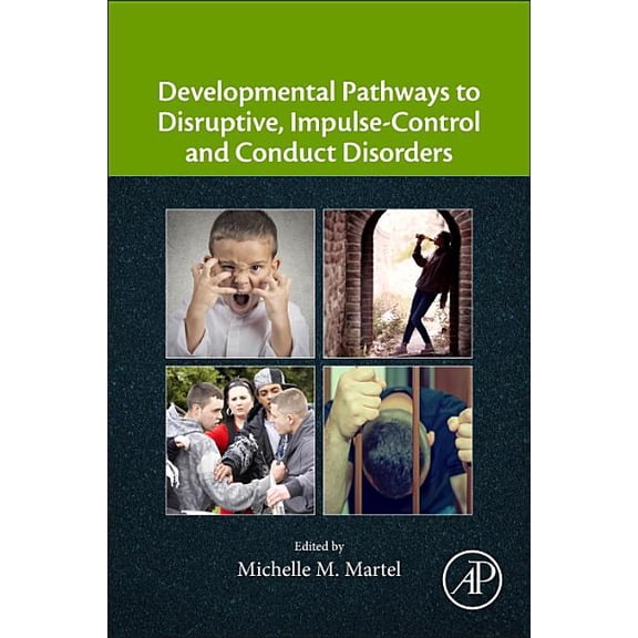 Developmental Pathways to Disruptive, Impulse-Control, and Conduct Disorders, (Paperback)