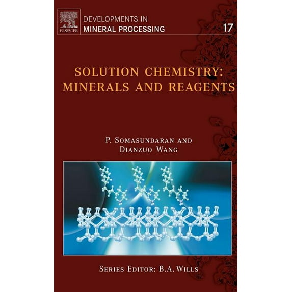 Developments in Mineral Processing Solution Chemistry: Minerals and Reagents Volume 17, Book 17, (Hardcover)