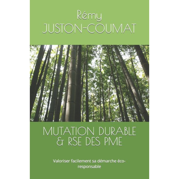 Developpement Des Entreprises: Mutation Durable & Rse Des Pme : Valoriser facilement sa dmarche co-responsable (Paperback)