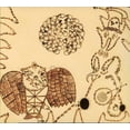thumbnail image 1 of Devendra Banhart - Rejoicing in the Hands - Music & Performance - CD, 1 of 1