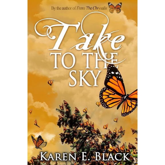Devereux Cousins: Take to the Sky (Series #3) (Paperback)