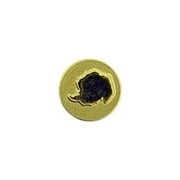 Eagle Emblems M7402 Dev-Antarctica, Service, Gold - 0.31 in.