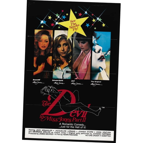 Devil In Miss Jones 2 Movie Poster 11inx17in Mini Poster in Mail/storage/gift tube 11x17 poster