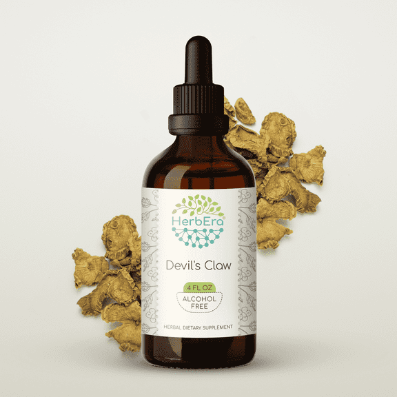 HerbEra Devil's Claw Tincture, Herbal Dietary Supplement for Joint Support, Devil's Claw (Harpagophytum procumbens) Dried Root Extract, Natural, Alcohol-Free, Drops 4 oz