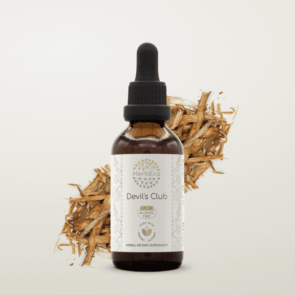 HerbEra Devil's Club Tincture, Organic Herbal Dietary Supplement for Immune Support, Certified Organic Devil's Club (Oplopanax horridus) Dried Root Extract, Natural, Alcohol-Free, Drops 2 oz