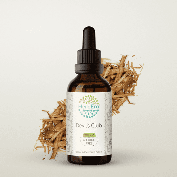 HerbEra Devil's Club Tincture, Herbal Dietary Supplement for Immune Support, Devil's Club (Oplopanax horridus) Dried Root Extract, Natural, Alcohol-Free, Drops 2 oz