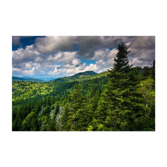 Devil's Courthouse - North Carolina Photography Forest Nature Landscape Mountain Scenic Summer Travel Poster Unframed Wall Art Print 4 x 6 inches