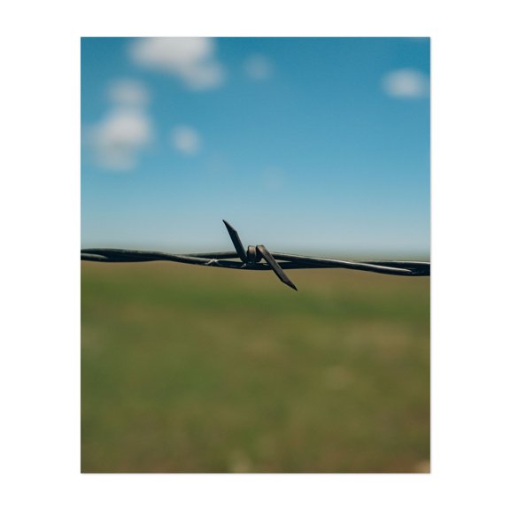 Devil's Rope, Texas - Photography Minimalist Rural Nature Landscape Rustic Abstract Scenic Unframed Wall Art Print 30 x 40 inches