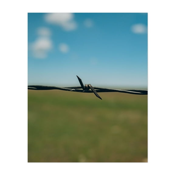 Devil's Rope, Texas - Photography Minimalist Rural Nature Landscape Rustic Abstract Scenic Unframed Wall Art Print 6 x 8 inches