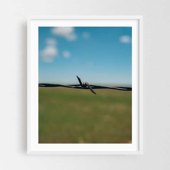 Devil's Rope, Texas - Photography Minimalist Rural Nature Landscape Rustic Abstract Scenic White Framed Wall Art Print 16 x 20 inches