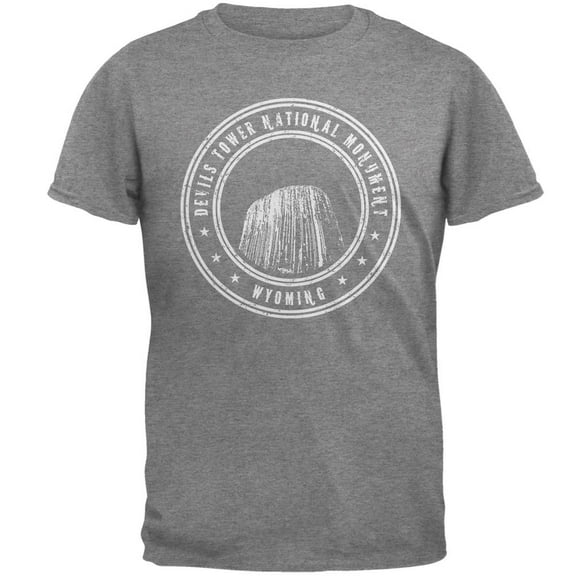 Devils Tower National Monument Mens T Shirt Graphite LG