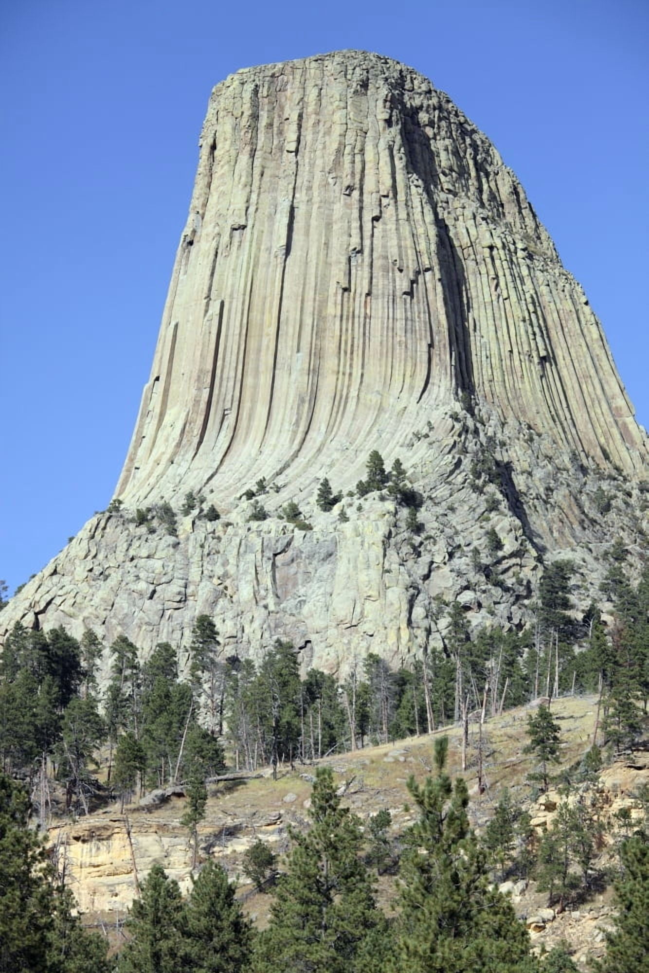 Devils Tower National Monument Wyoming Canvas Art - Richard RoscoeStocktrek Images (23 x 35)