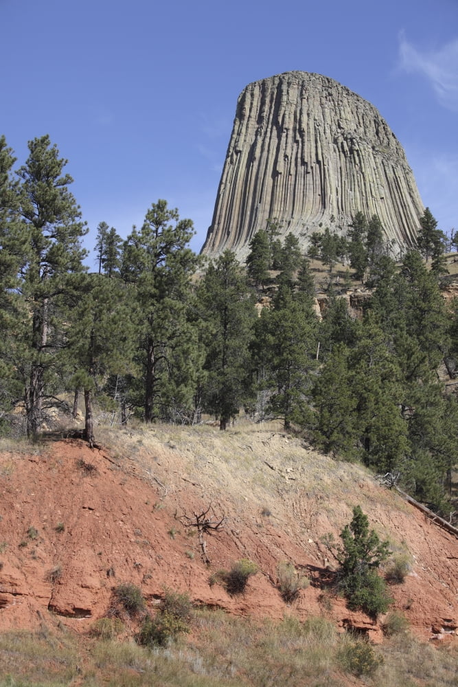Devils Tower National Monument Wyoming Canvas Art - Richard RoscoeStocktrek Images (23 x 35)