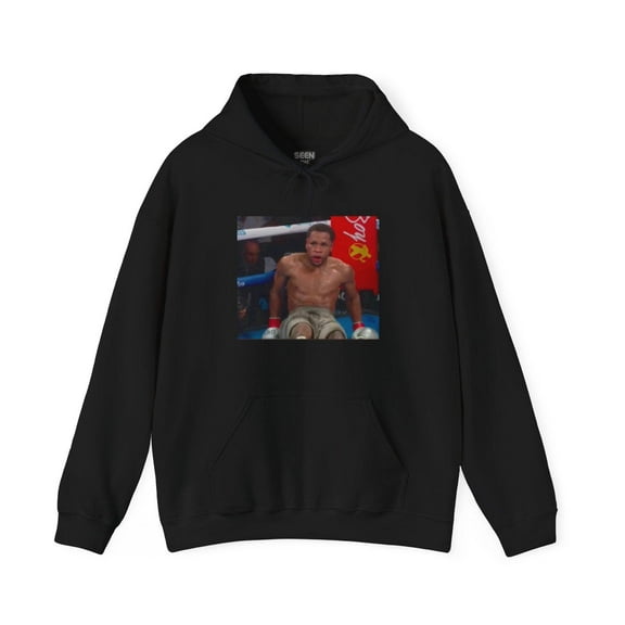 Devin Haney Boxing Bewilderment Knockdown Hoodie (No text) | 4 Colors