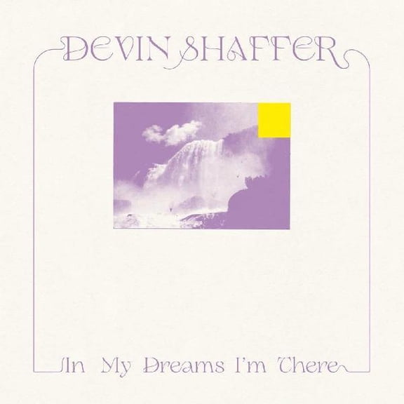 Devin Shaffer - In My Dreams I'm There - Electronica - Vinyl