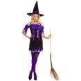 thumbnail image 1 of Devious Witch Adult Costume - Small/Medium, 1 of 1