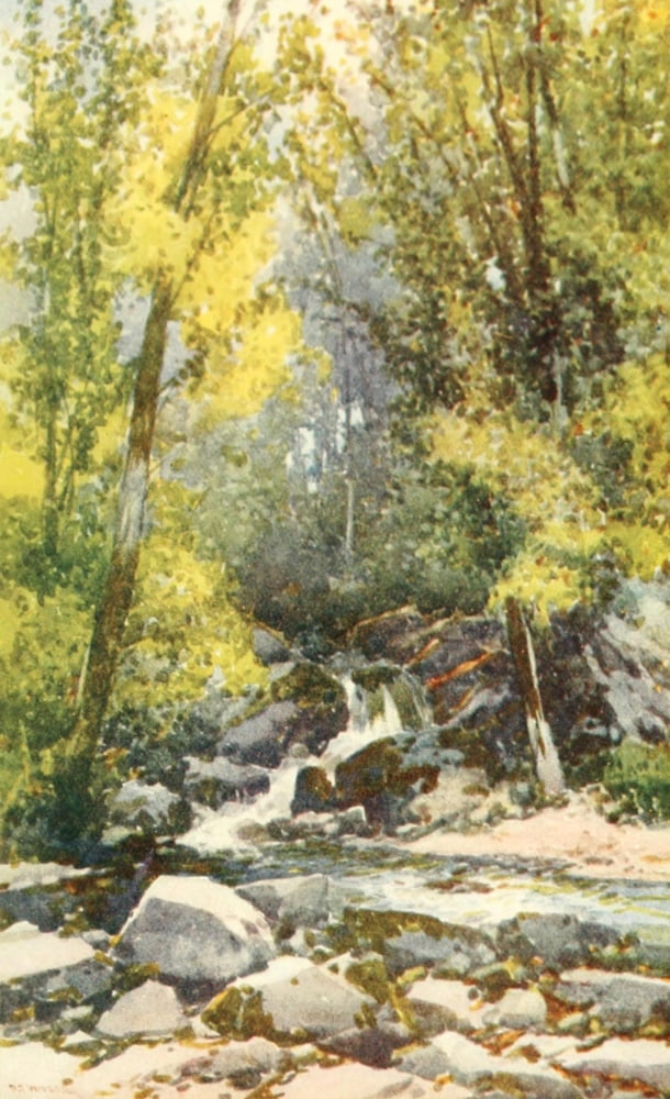 Devon 1913 Chudleigh Glen Canvas Art - Frederick J Widgery (18 x 24)
