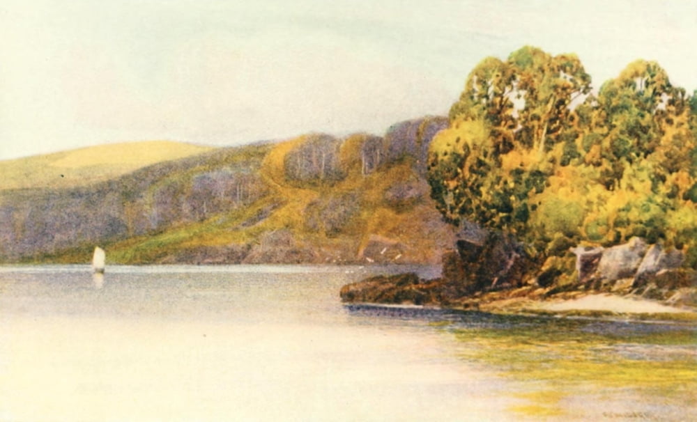 Devon 1913 Sharpham Woods River Dart Canvas Art - Frederick J Widgery (18 x 24)