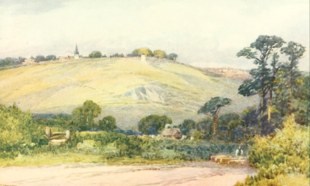 Devon 1913 Torrington Canvas Art - Frederick J Widgery (18 x 24)