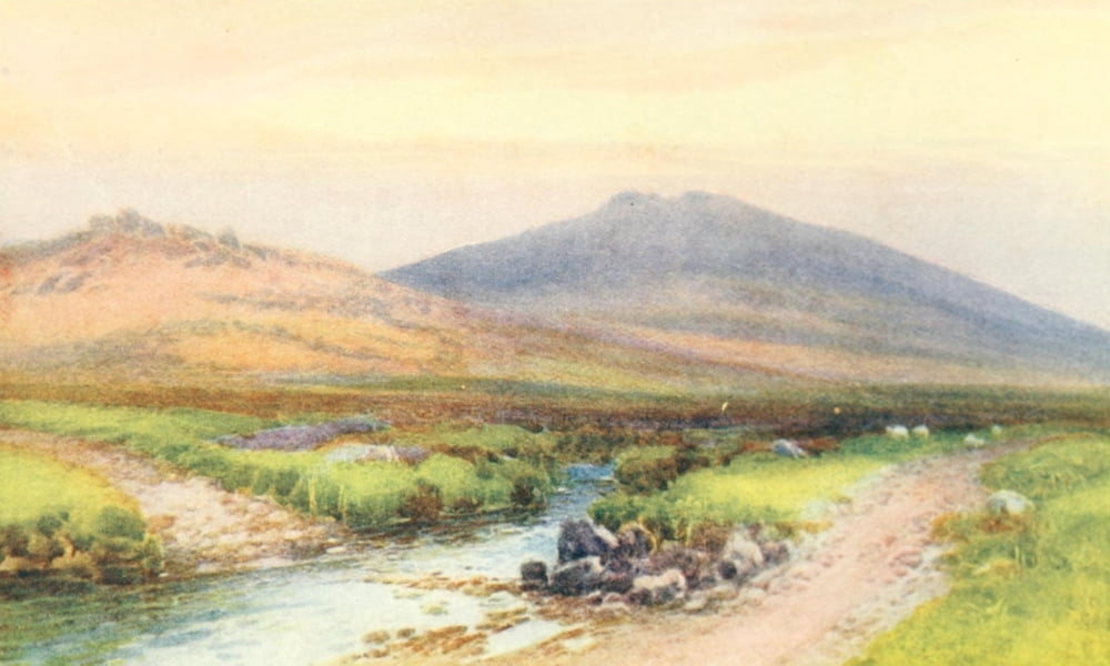 Devon 1913 Yes Tor Dartmoor Canvas Art - Frederick J Widgery (24 x 36)