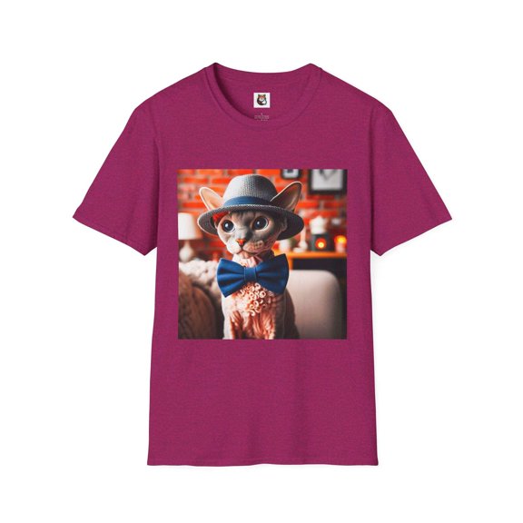 Devon Rex Domestic Cat