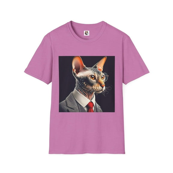 Devon Rex Domestic Cat