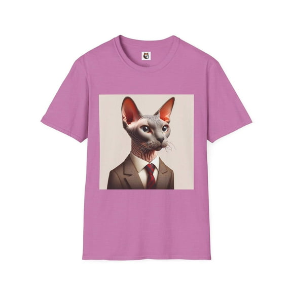 Devon Rex Domestic Cat